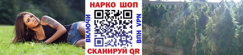Где купить Сунжа А ПВП  Амфетамин  МЕФ 