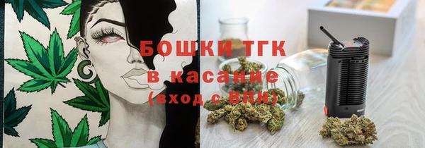 эйфоретик Аркадак