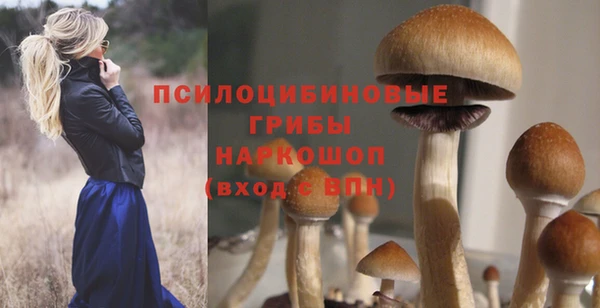 бутират Арсеньев