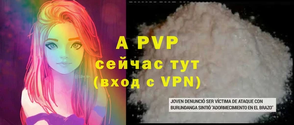 ECSTASY Пестово