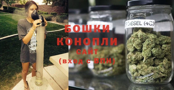 бошки Пересвет