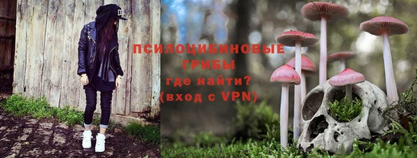 бошки Пересвет