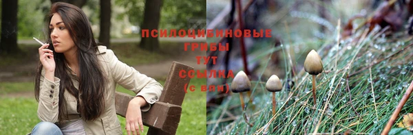 гидра Армянск